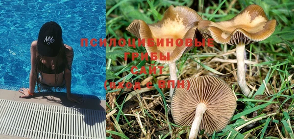 MDMA Premium VHQ Нефтегорск