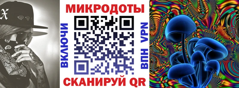 где купить наркоту Шебекино hydra ссылки Галлюциногенные грибы Cubensis