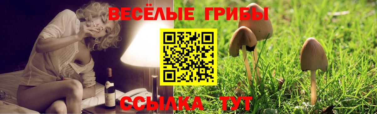 Псилоцибиновые грибы MAGIC MUSHROOMS Шебекино