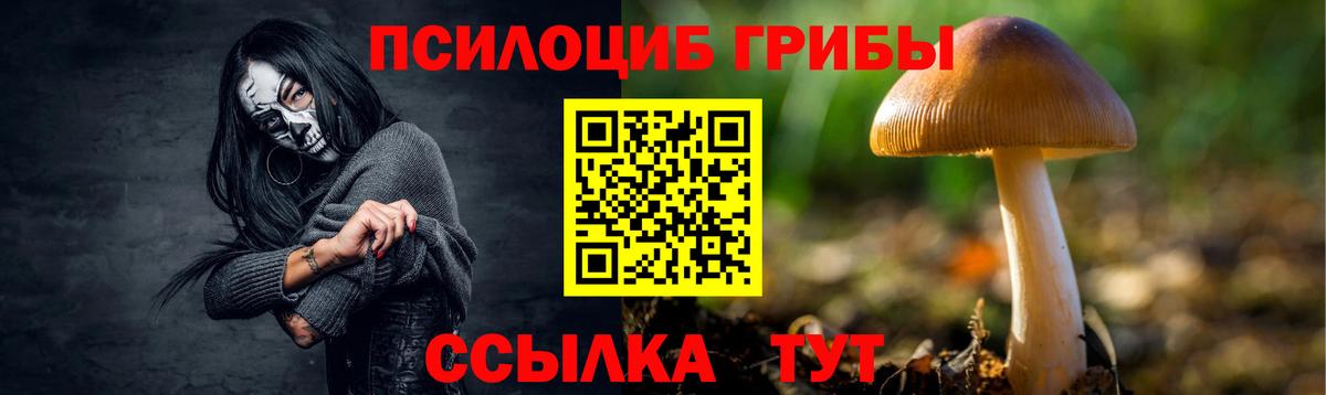 Псилоцибиновые грибы Psilocybe  Галлюциногенные грибы мухоморы  Шебекино  Вход с VPN 